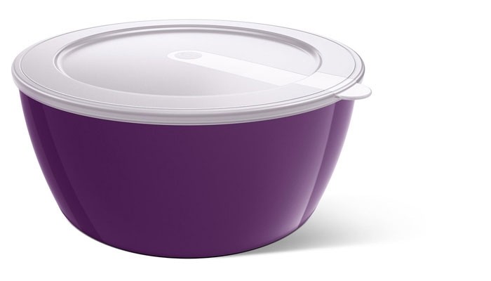 miska savio fioletowa.jpg